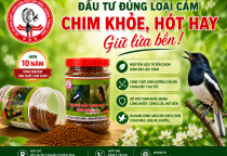 ĐẦU TƯ ĐÚNG LOẠI CÁM – CHIM KHỎE, HÓT HAY, GIỮ LỬA BỀN! 