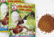 CÁM KHOÁNG CANXI SẮC TỐ MÀU LÔNG BÌNH DƯƠNG