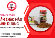 Cung cấp cám chào mào Bình Dương dinh dưỡng chuẩn, chim sung lâu