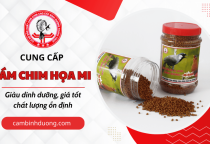 Sản xuất, cung cấp cám chim Họa Mi Bình Dương – Giàu dinh dưỡng, giá tốt, chất lượng ổn định