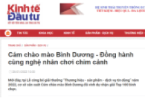 Cám chào mào Bình Dương - Đồng hành cùng nghệ nhân chơi chim cảnh