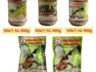 KHI NÀO NÊN LÊN CÁM SỐ 2?