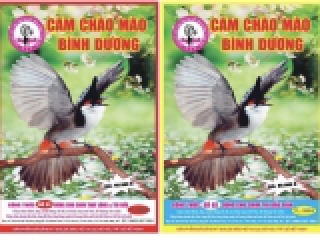 CÁM CHÀO MÀO BÌNH DƯƠNG: NƠI CUNG CẤP CHÀO MÀO CHẤT LƯỢNG