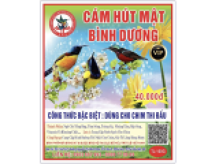 CÁM CHIM HÚT MẬT