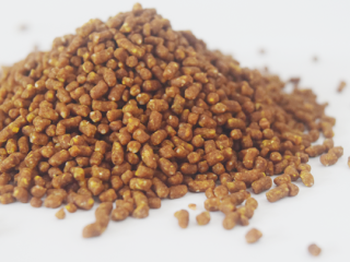 CÁM BIFOOD CÓ TỐT KHÔNG?