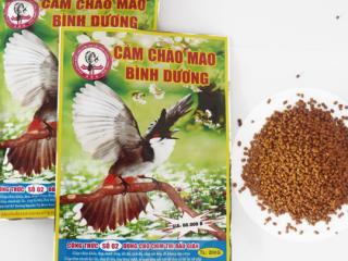 CÁM KHOÁNG CANXI SẮC TỐ MÀU LÔNG BÌNH DƯƠNG