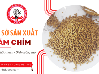 Cơ sở sản xuất cám chim tại Bình Dương - Công thức chuẩn, dinh dưỡng cao