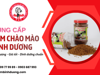 Cung cấp cám chào mào Bình Dương dinh dưỡng chuẩn, chim sung lâu