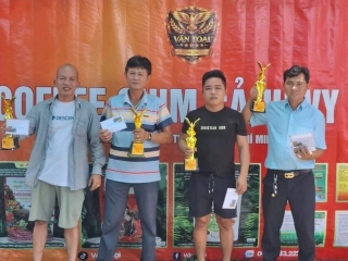 Thi tuần cội vy vy