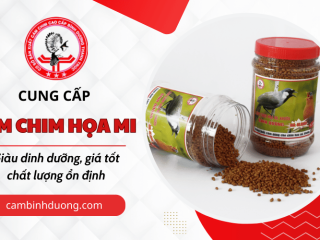 Sản xuất, cung cấp cám chim Họa Mi Bình Dương – Giàu dinh dưỡng, giá tốt, chất lượng ổn định