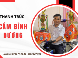  NUÔI CHIM KHÔNG CHỈ LÀ ĐAM MÊ – MÀ CÒN LÀ CẢ MỘT HÀNH TRÌNH CHĂM SÓC ĐÚNG CÁCH! 