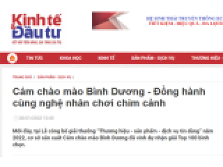 Cám chào mào Bình Dương - Đồng hành cùng nghệ nhân chơi chim cảnh