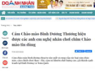 Cám Chào mào Binh Dương Thương hiệu được các anh em nghệ nhân chơi chim Chào mào tin dùng