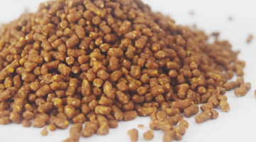 CÁM BIFOOD CÓ TỐT KHÔNG?