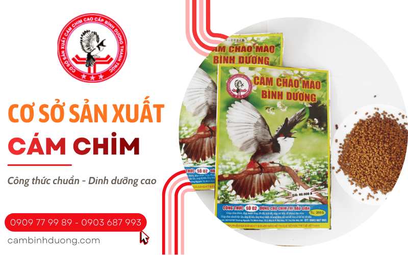cám chim Bình Dương