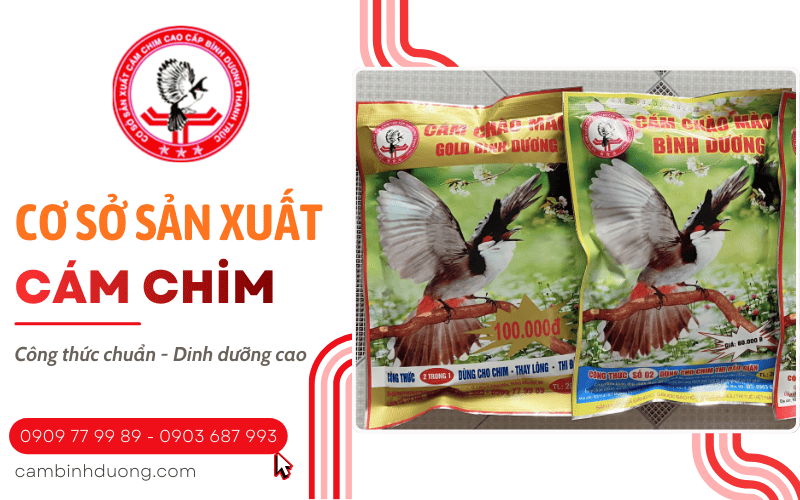 cám chim Bình Dương