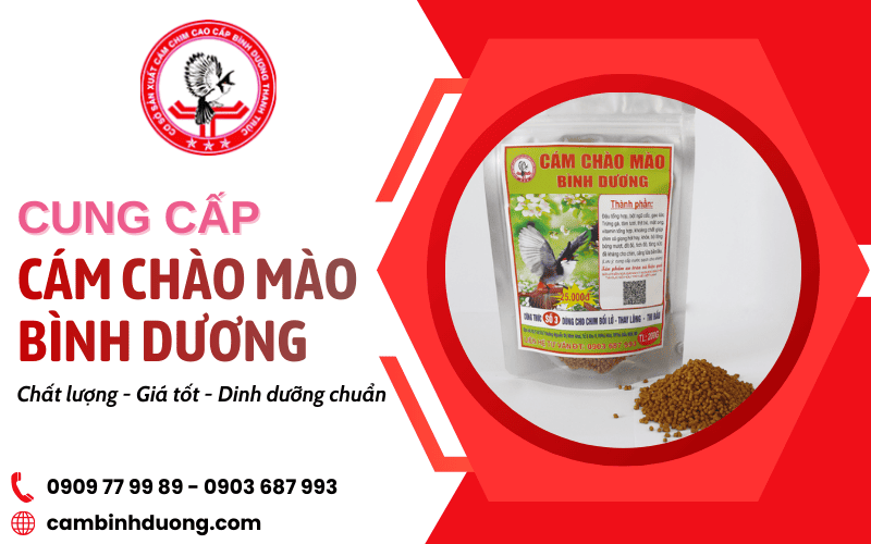 cung cấp cám chào mào Bình Dương