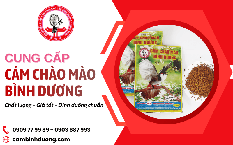 cung cấp cám chào mào Bình Dương