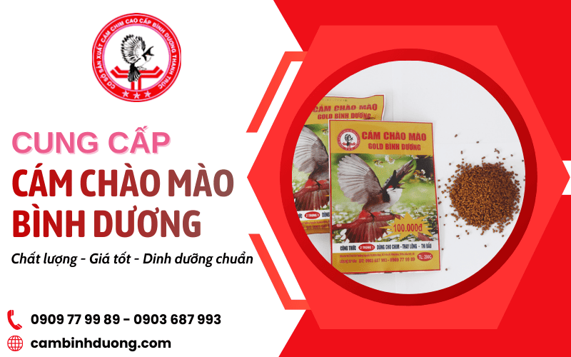 cung cấp cám chào mào Bình Dương