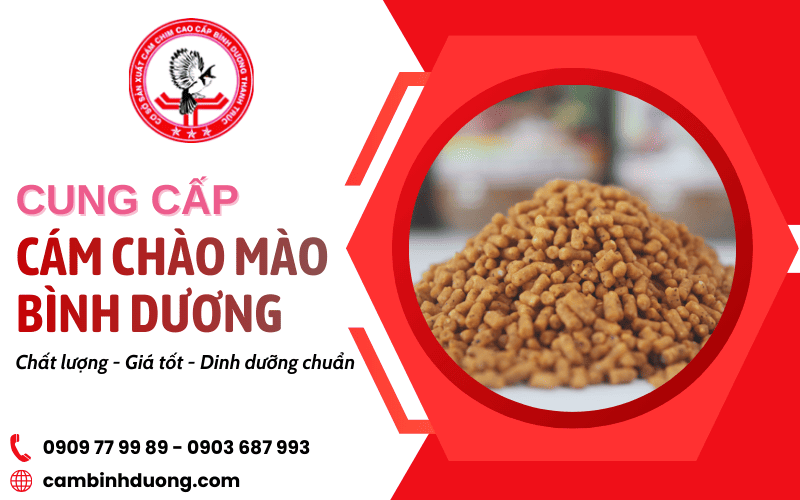 cung cấp cám chào mào Bình Dương