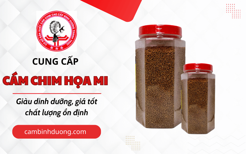cám chim Họa Mi Bình Dương
